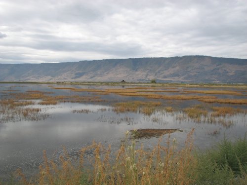 View from the lakebead